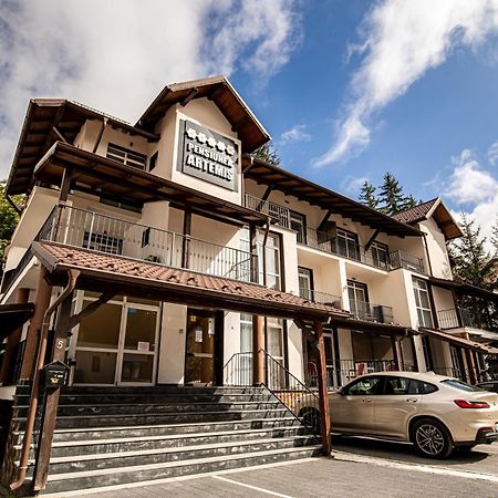 Artemis Villa Poiana Brasov Exterior photo