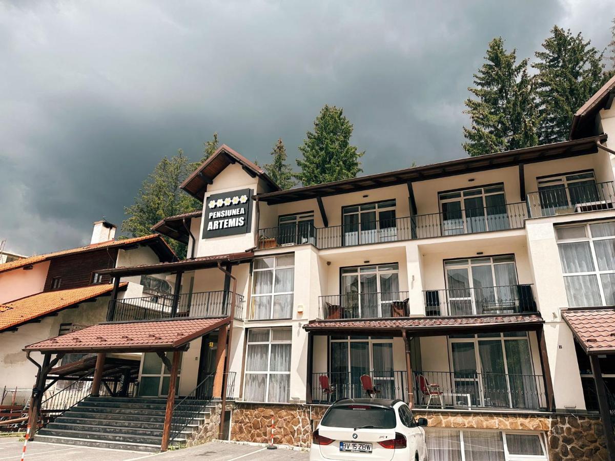 Artemis Villa Poiana Brasov Exterior photo